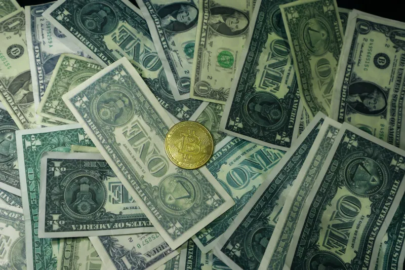 Dollar-Pegged and Divided: Which Stablecoins Are Built to Last in the American Market